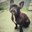 Patricia Korth-McDonnell's profile image