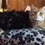 Theresa Herron Foster's profile image