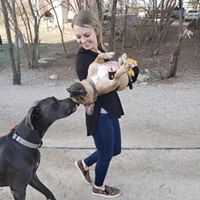 Kelsey Emma's profile image