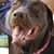 Maggie Mae's profile image