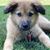 Jennifer Douglass Doane's profile image