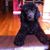 Alice Beard Paulino's profile image