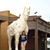 Sharon Bingham Hart's profile image