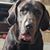 Rachel Holley Kinsey's profile image