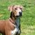Laura Swinford's profile image