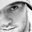 Jimmy Whitley's profile image