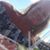 Tina Brochtrup's profile image