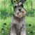 Dorothy Carlson Donovan's profile image