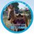 Sandy Gonzalez's profile image