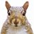 Linda Reed's profile image