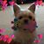 Sharon Burns Munsey's profile image