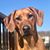 Stacey Denton Jones's profile image