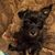 Vickie Durington's profile image