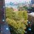 Sonya Kumar's profile image