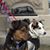 Lorraine Smith's profile image