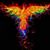 Jessica Nott's profile image