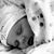 Christina Tyler-Jones's profile image