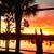 Sue Briddell's profile image