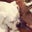 Petey Boxer's profile image