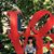 Shasha Cui's profile image