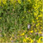 Ann Esker's profile image