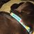 Jennifer Przybycien Boyda's profile image