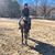 Suzanne S. Testani's profile image
