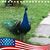 Linda Erdie Myers's profile image