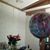 Tina Larry Novy's profile image