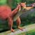 Melanie Porter's profile image