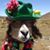 Alexander Herrera Dominici's profile image