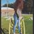 Courtney Collins's profile image