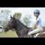 Scottie Bee's profile image
