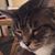 Don Nesbitt's profile image