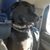 Annette Nina Blanco's profile image