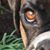 Bob King's profile image