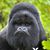 Bobbie Cook-Petty's profile image