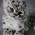 Lisa A Brenner's profile image