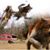 Jimmy Begay's profile image