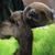 Jennifer Geary Berry's profile image