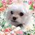 Vickie Bailey-Moon's profile image