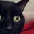 Susan Tanner's profile image