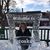 Nancy McLellan's profile image