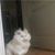 Crystal Gropper's profile image