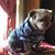 Christine McManus Kaser's profile image