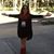 Cindy McDonnell Stevens's profile image