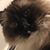 Bill Hawthorne's profile image