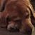 Jeannine Morse's profile image