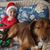 Debbie Inglesby VanBrackle's profile image