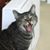 Valerie Miller's profile image